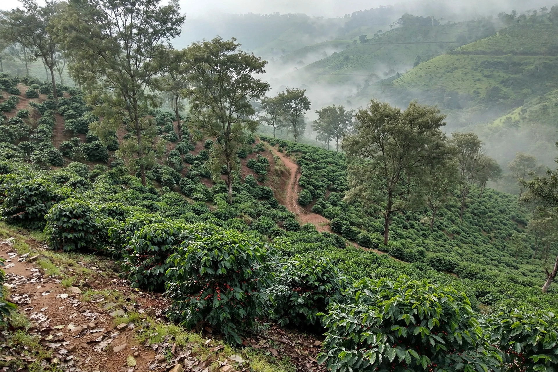 Visakhapatnam to Araku Valley — My Budget Train Journey
