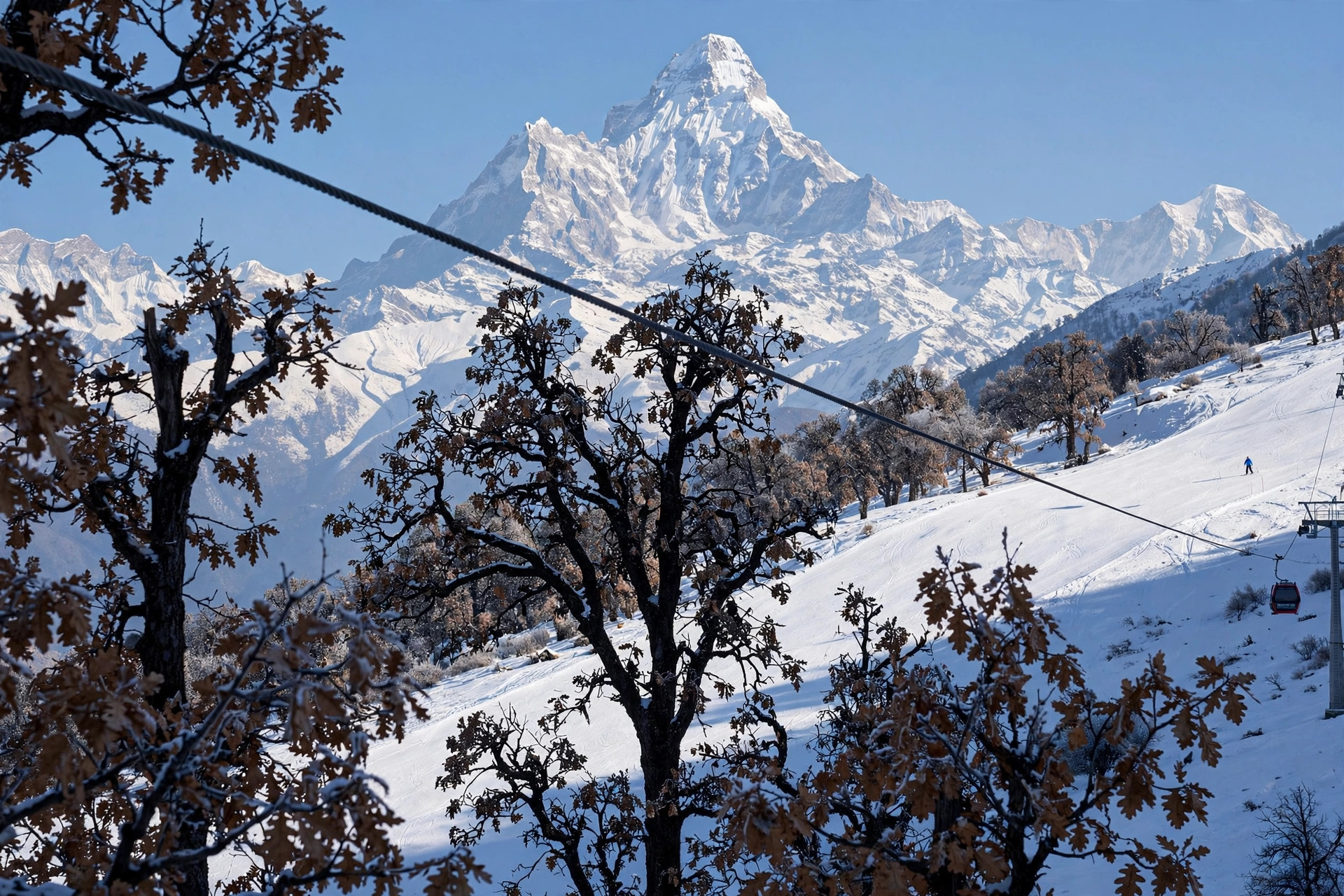 Auli