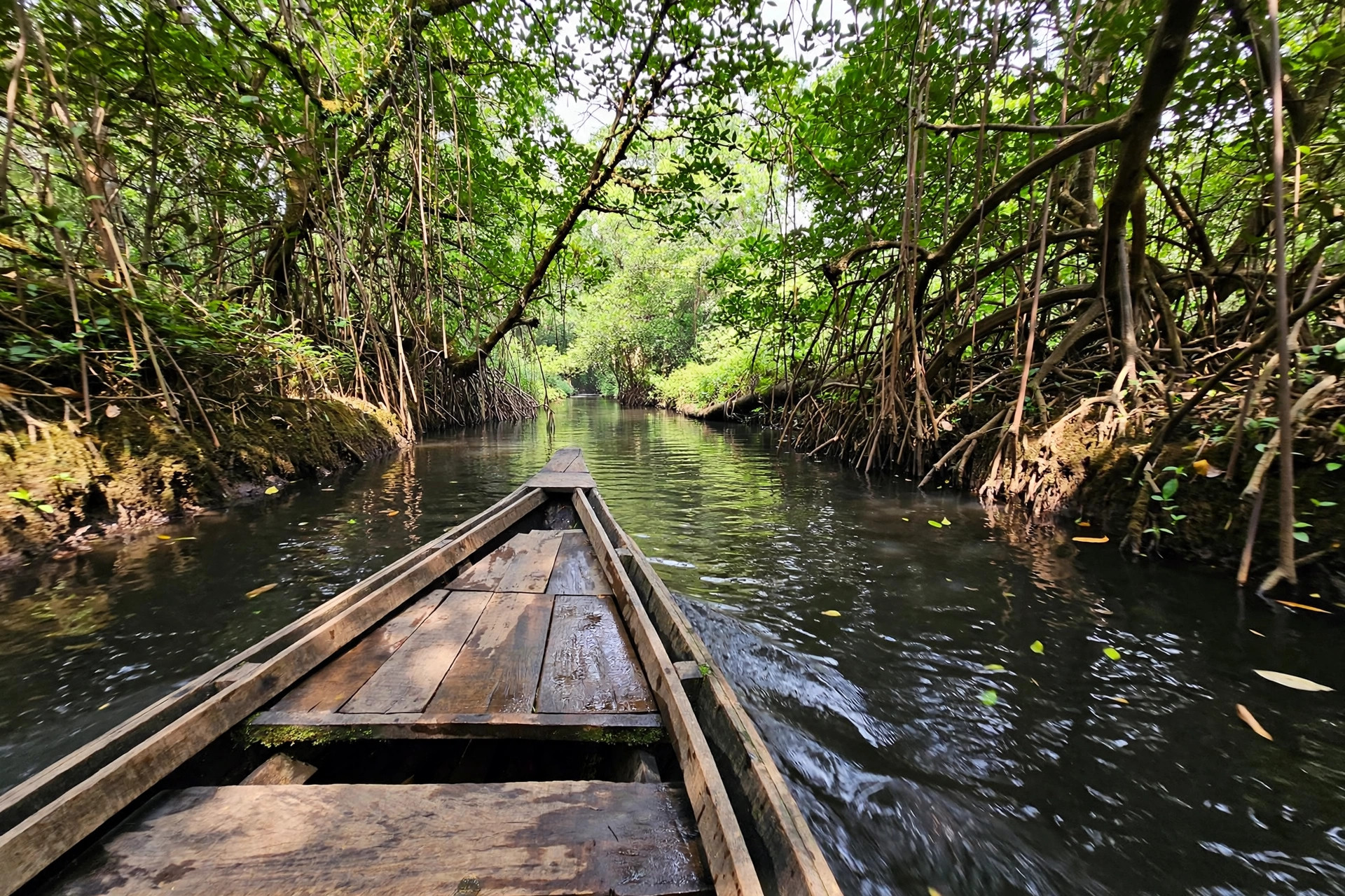 Kolkata to Sundarbans on a Budget — How I Did It