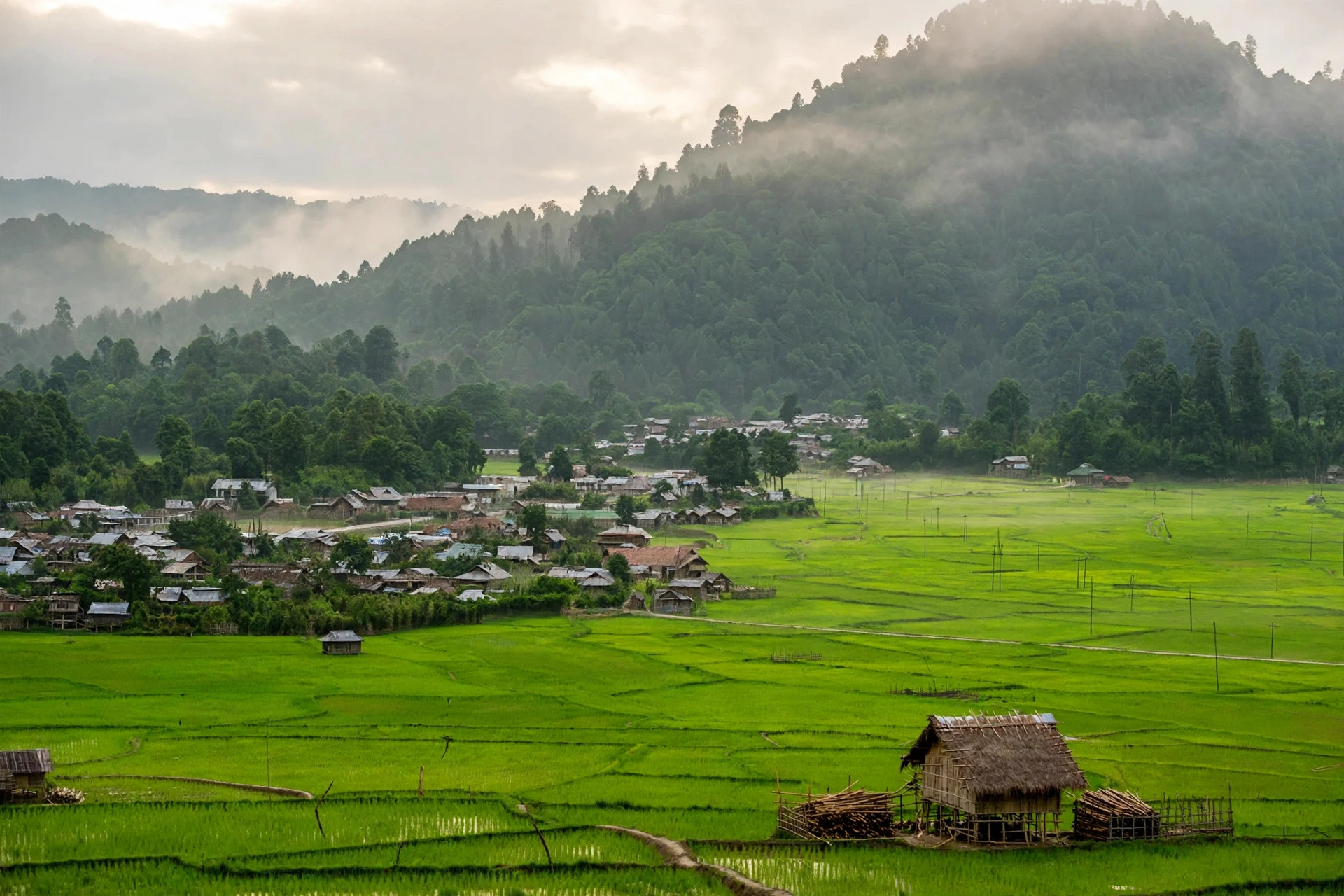Itanagar to Ziro Valley on a Budget — How I Did It